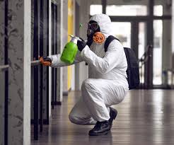 Mold Remediation for Rental Properties in Santa Clarita, CA